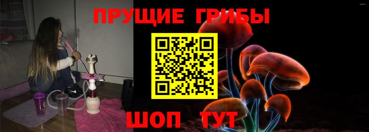 Избербаш  Псилоцибиновые грибы GOLDEN TEACHER  Вход с VPN  Псилоцибиновые грибы мицелий 